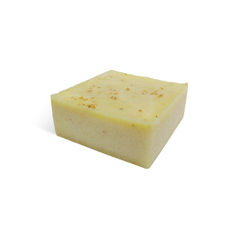 Coconuts! Solid Scrub Bar